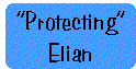 [Breaker quote: 
'Protecting' Elian]