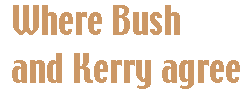 [Breaker quote: Where Bush and Kerry agree]