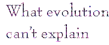 [Breaker quote for Is Darwin Holy?: What evolutionism can’t explain]